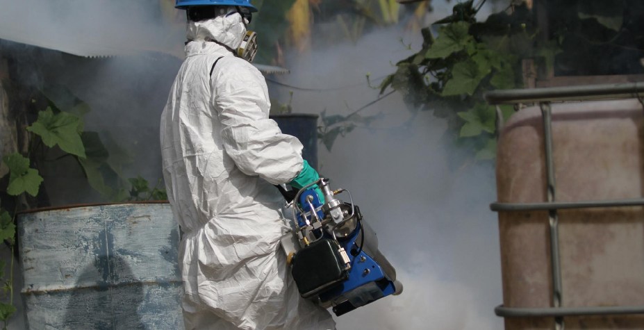 ¿Cada cuánto se debe fumigar un negocio en Colombia?